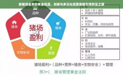 拆豬場業務的黃金機遇,創新與多元化經營策略引領財富之路
